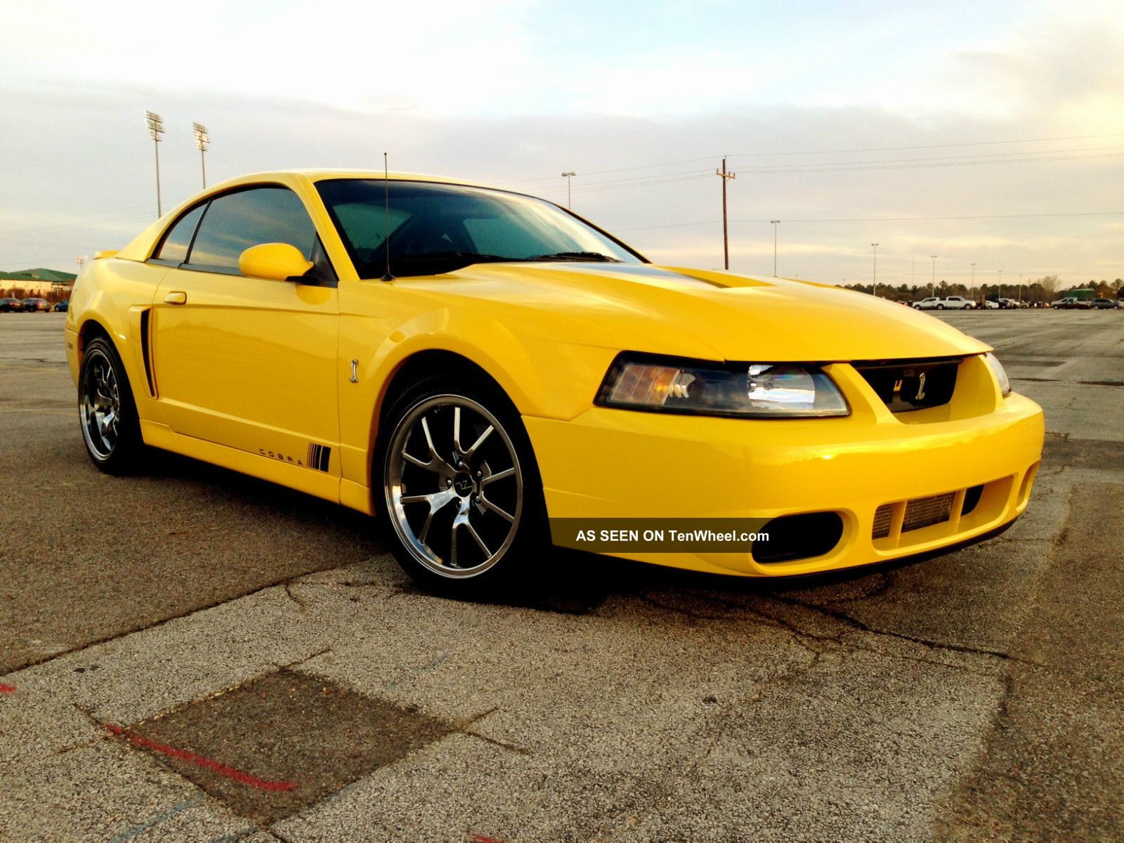 Ford Mustang Svt Cobra Coupe Bursd Com